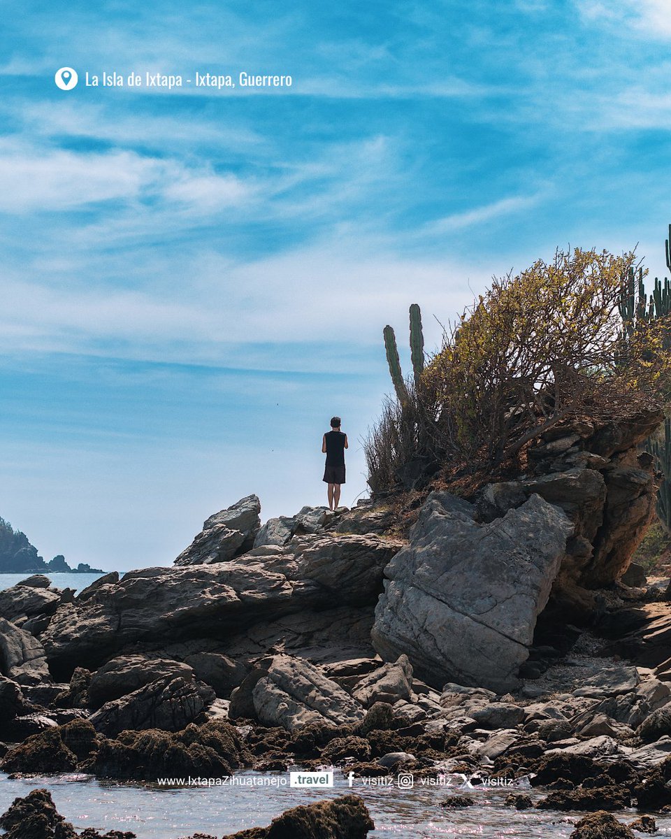 Ixtapa Zihuatanejo tweet media