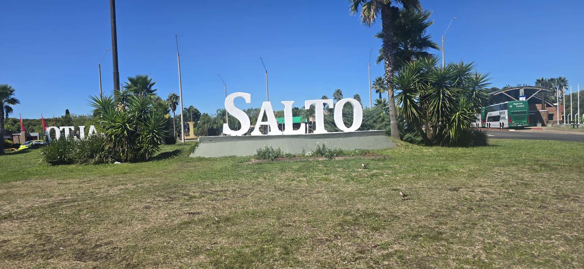 Carlos Daniel Camy tweet media