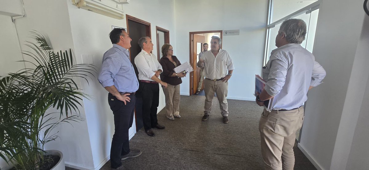 Carlos Daniel Camy tweet media