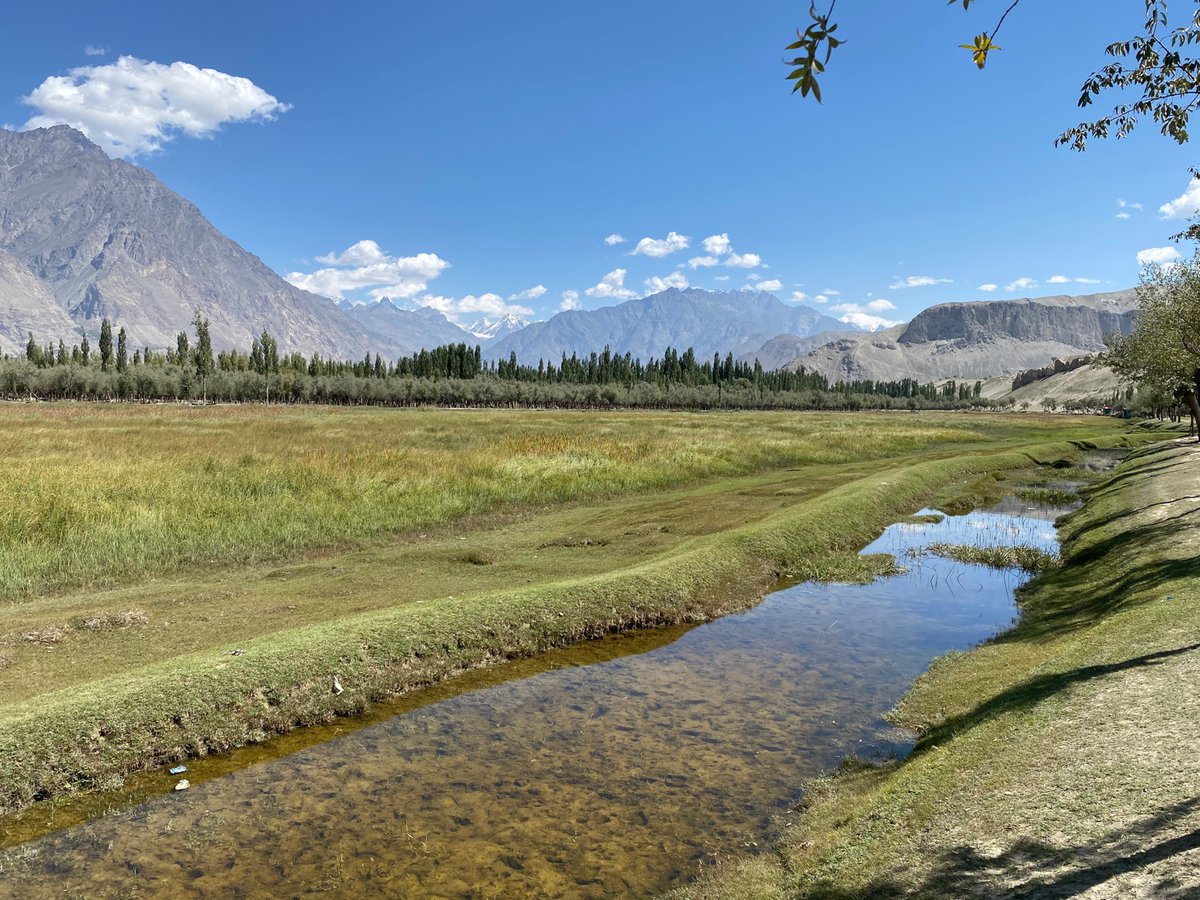 TestPracticeQA's tweet image. Test Content for scene count bug.
#PARADYM