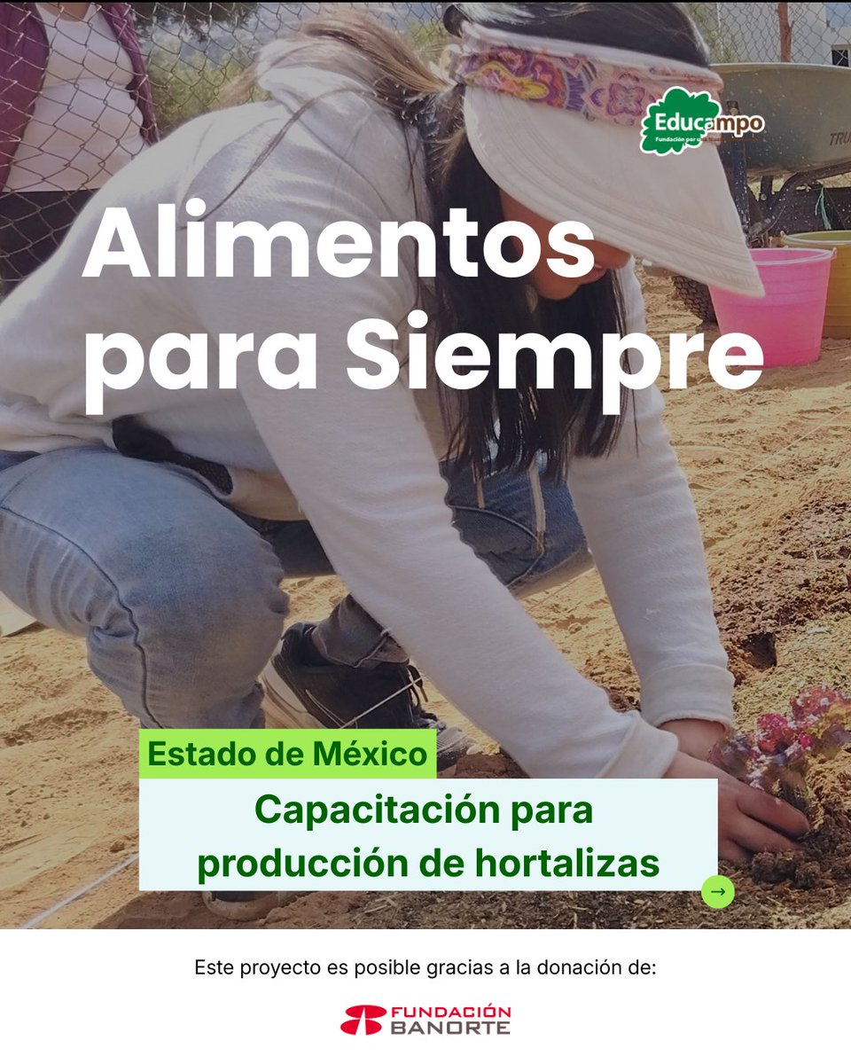 Educampo MX tweet media