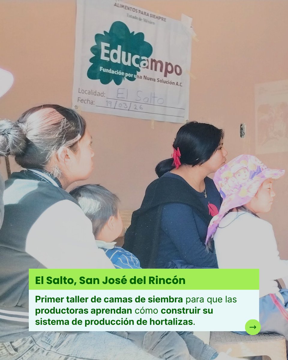 Educampo MX tweet media