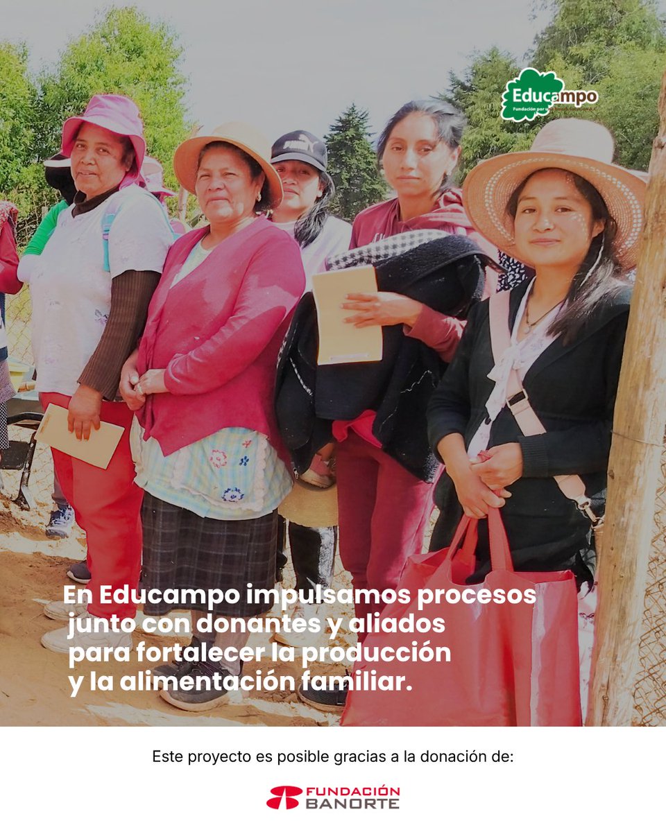 En El Salto, San José del Rincón, Estado de México, realizamos el primer taller de camas de siembra con productoras de #AlimentosParaSiempre. Un paso para producir hortalizas en casa y fortalecer la alimentación familiar.

#Educampo #FundaciónBanorte #SeguridadAlimentaria