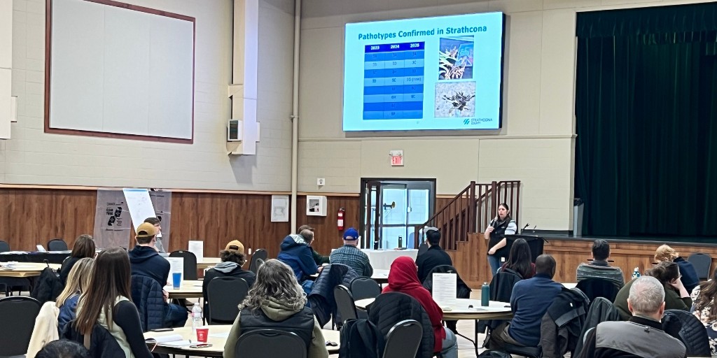 Gateway Research Org tweet media