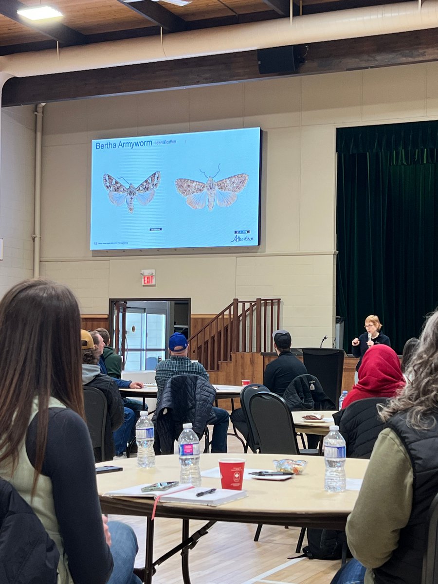 Gateway Research Org tweet media