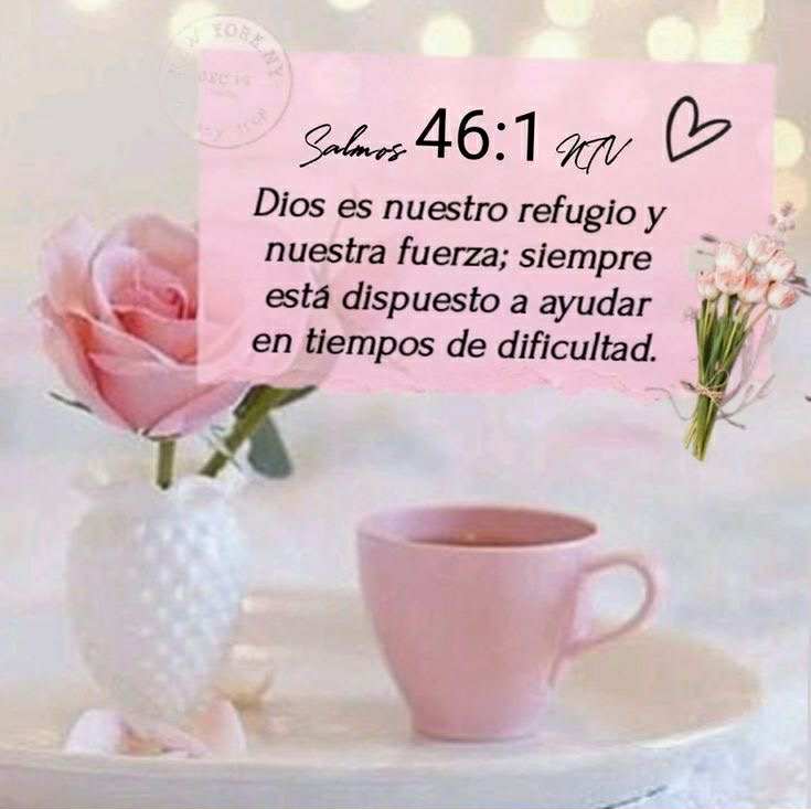 Loren Castillo tweet media
