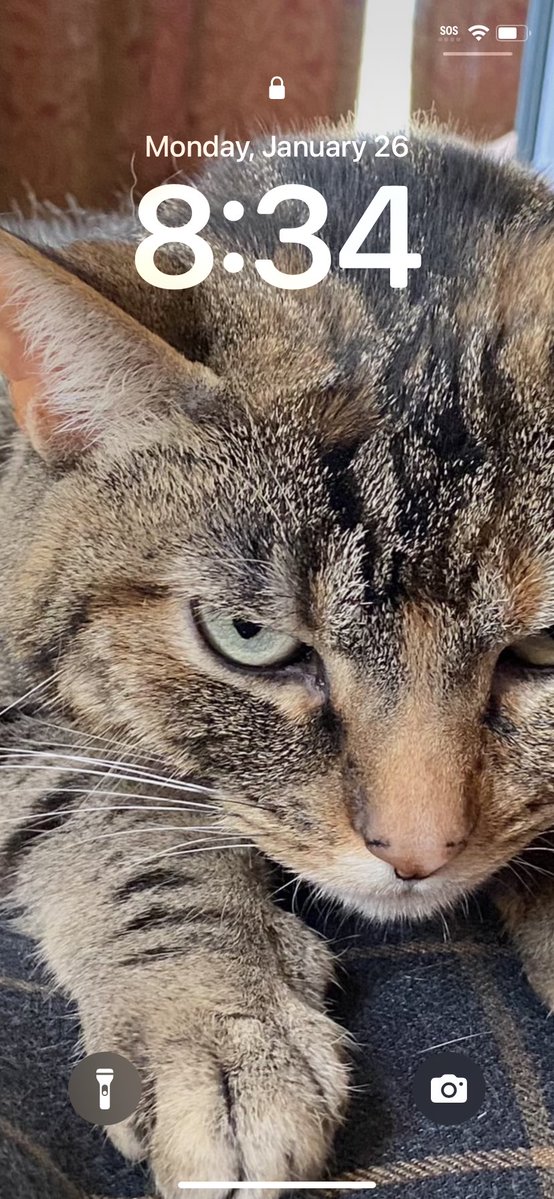 K & Archie, Alec, Declan & Saoirse tweet media