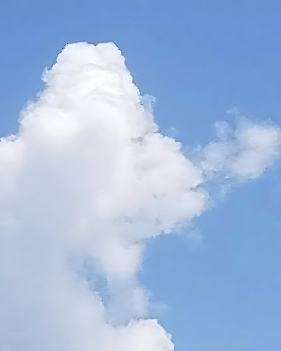 El CondeNado tweet media