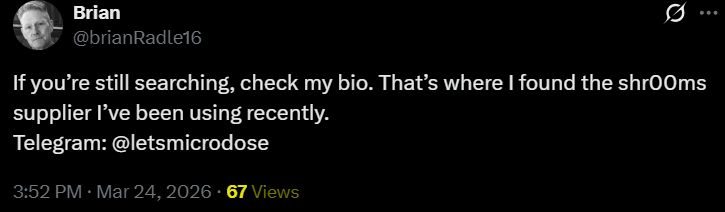 Aromantic Sticker 🏳️🌈 tweet media