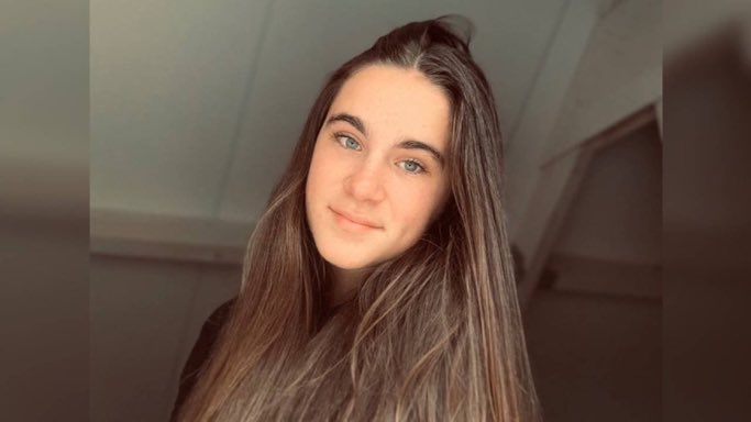 David van Hemelryck 🕊#D tweet media