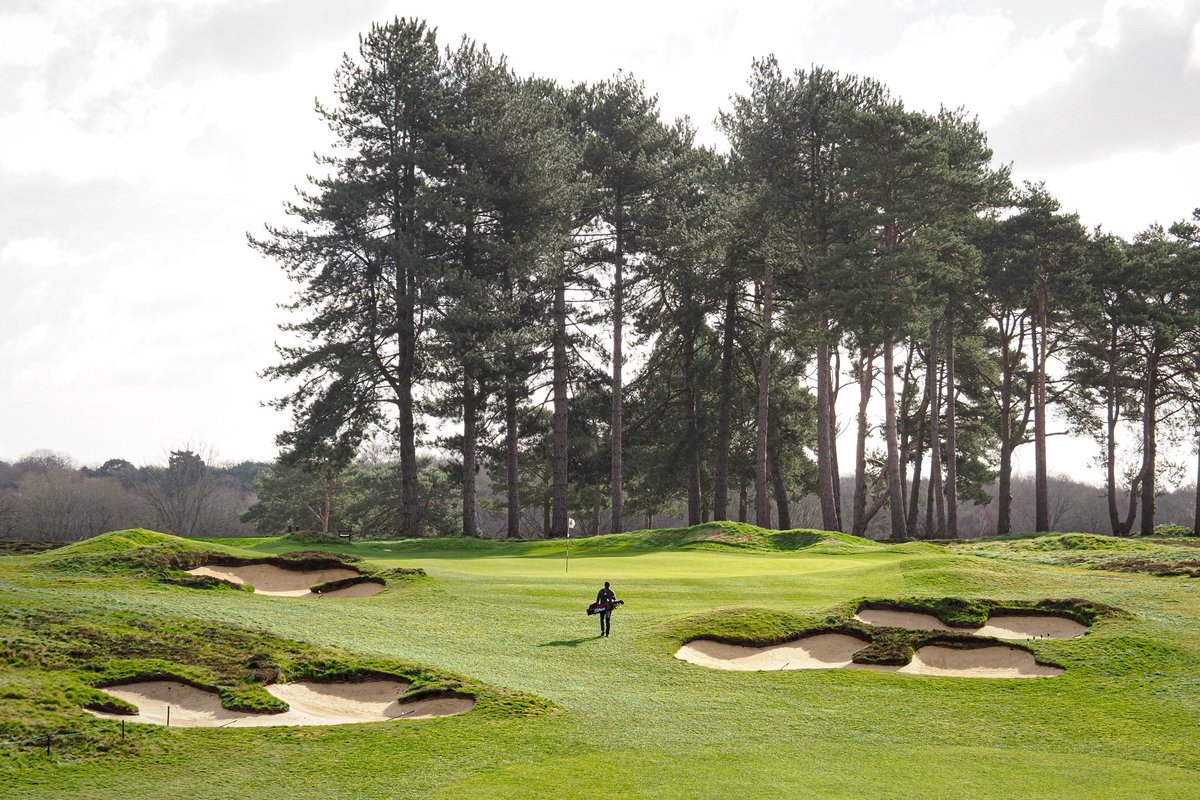 Joe Simpson tweet media