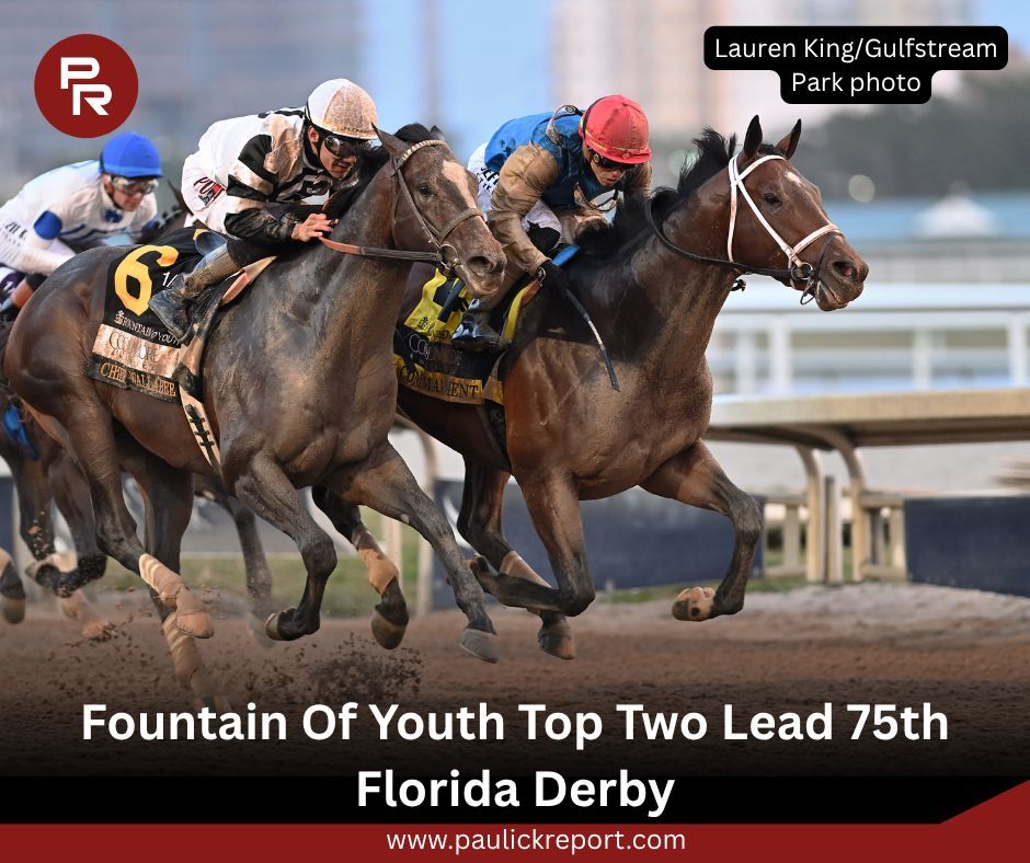 Paulick Report tweet media