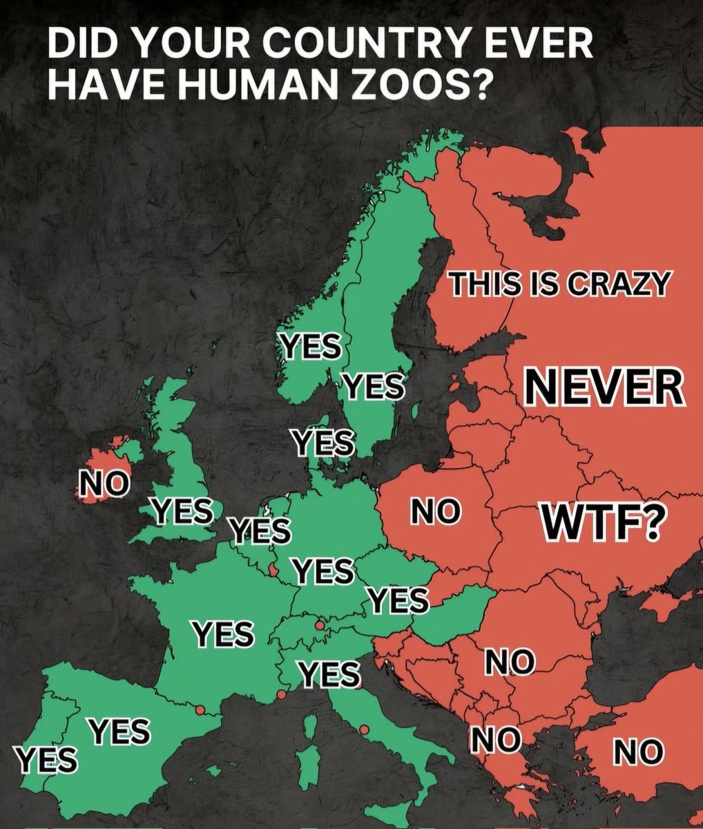 Ненад Каравезић 🇷🇸💪 tweet media