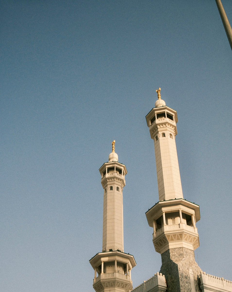 mountعlover tweet media