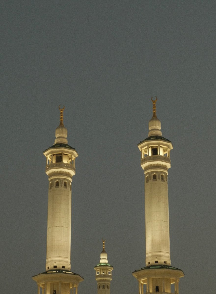 mountعlover tweet media