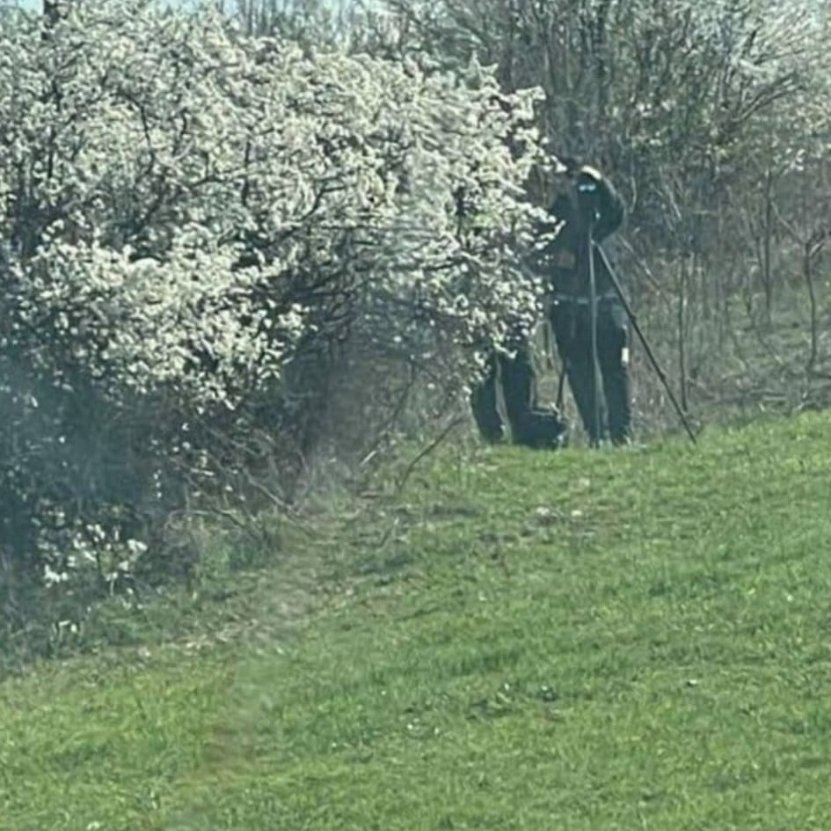 rot - frajer tweet media