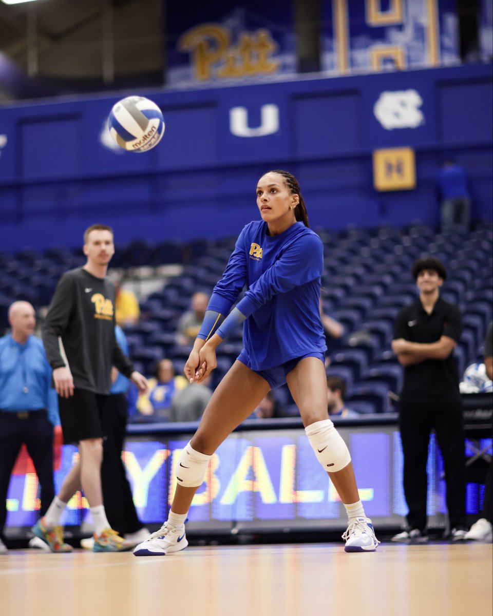 Pitt Volleyball tweet media