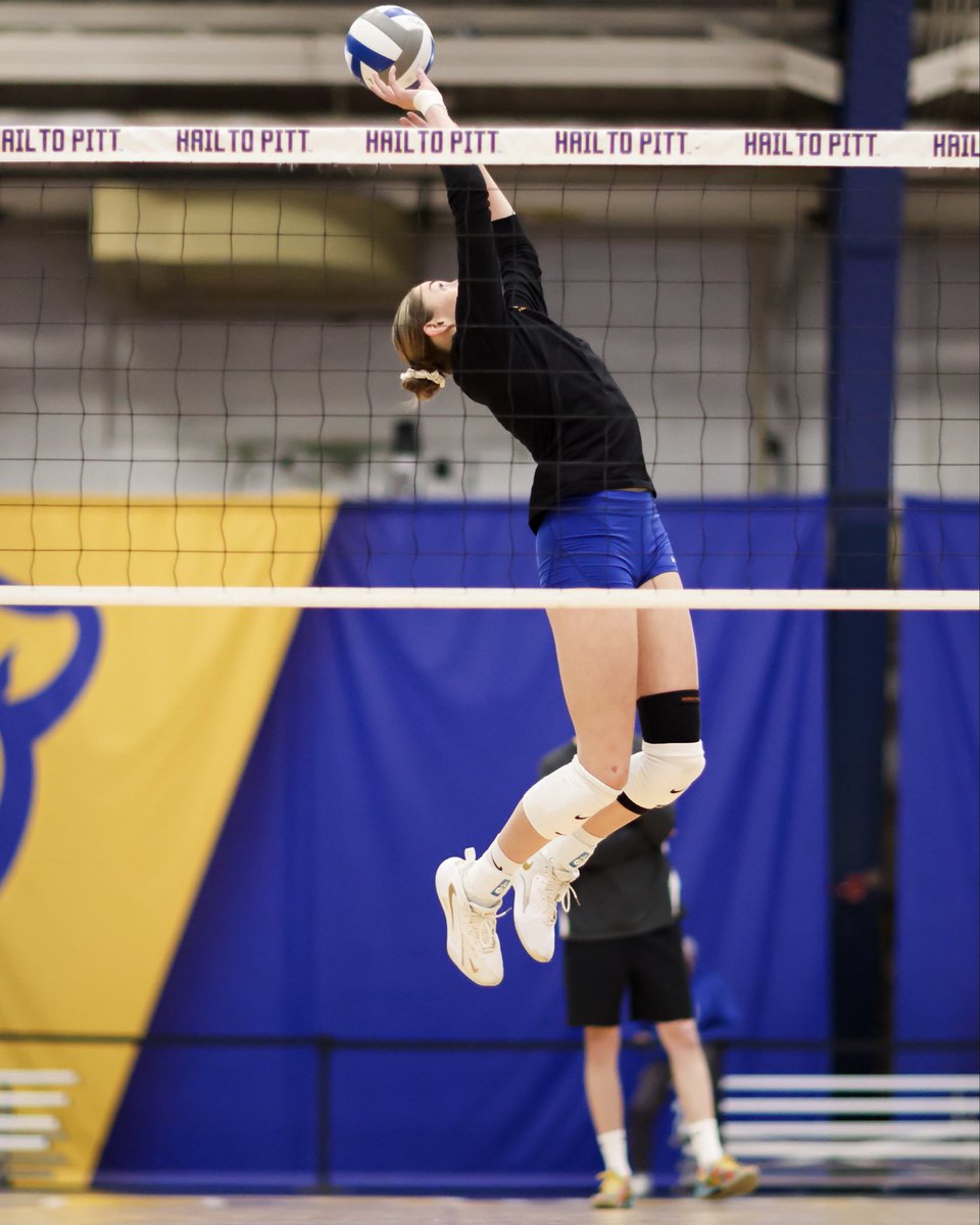 Pitt Volleyball tweet media