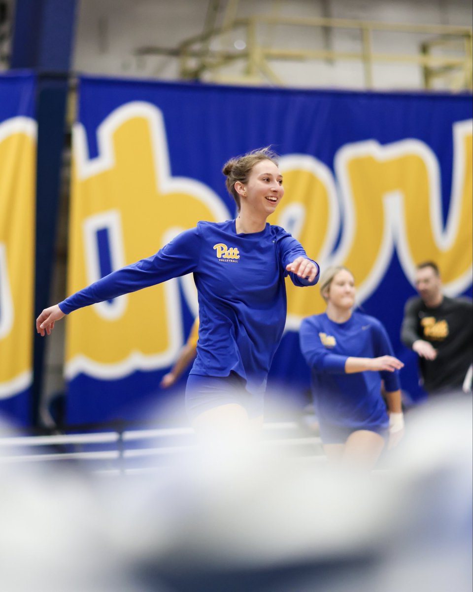 Pitt Volleyball tweet media