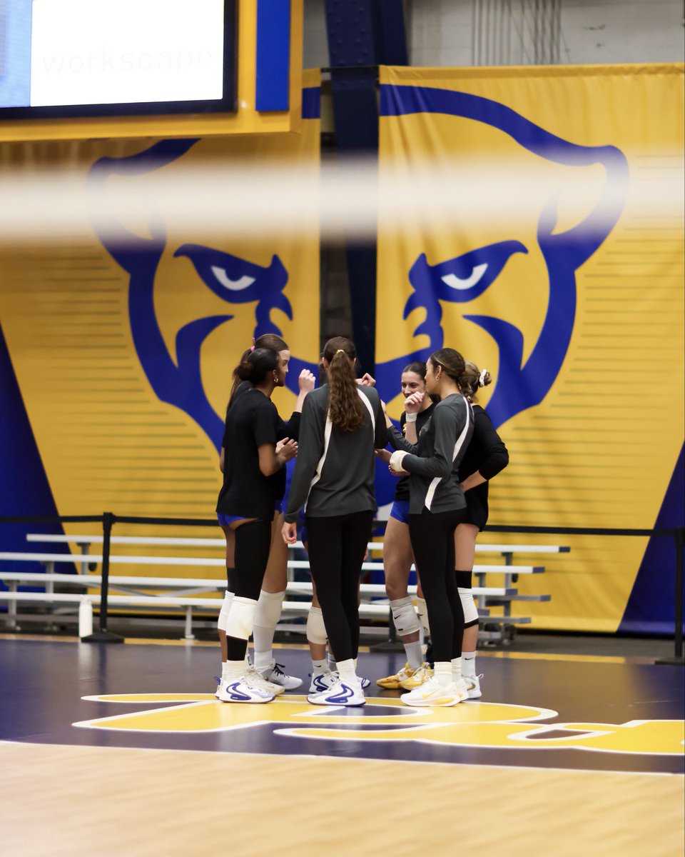 Pitt Volleyball tweet media