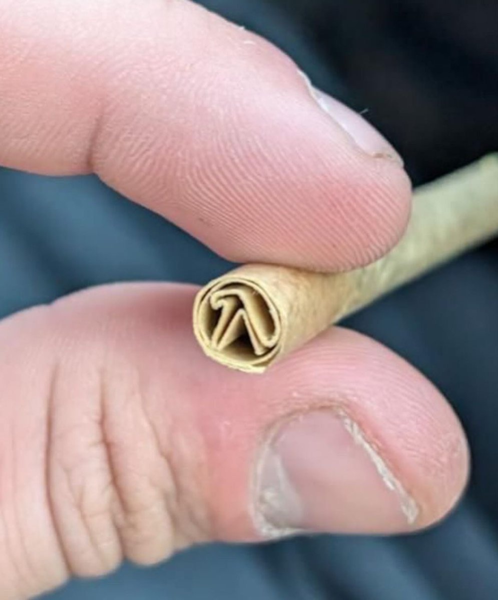 untitled folder tweet media