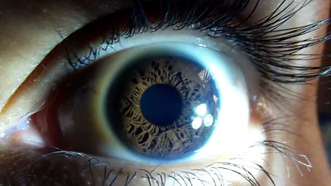 Dédáyọ̀ Roots tweet media