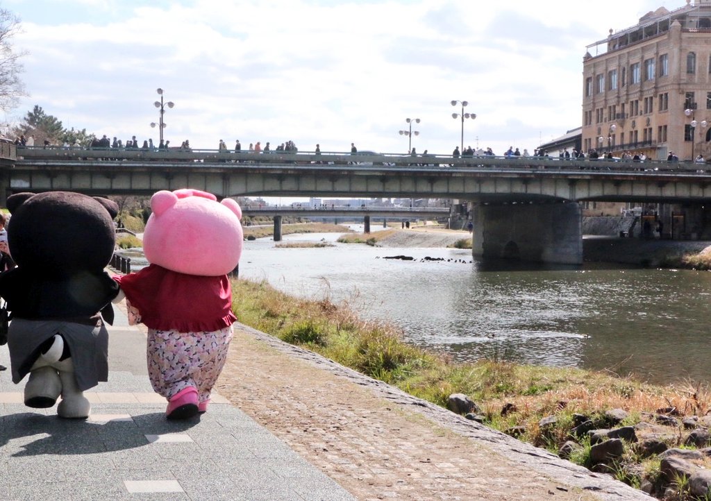 和み柴っこ【公式】 tweet media