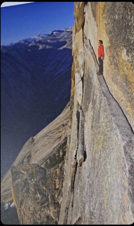 WG UPDATES tweet media