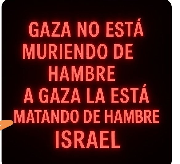 Orlando Curioso tweet media