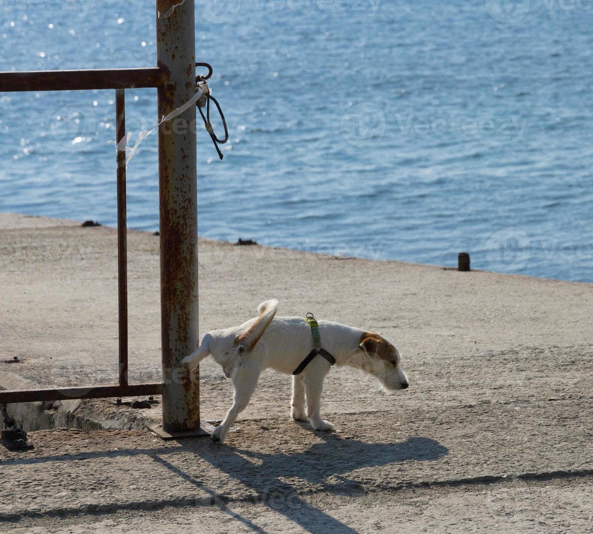 Carol ∞ tweet media