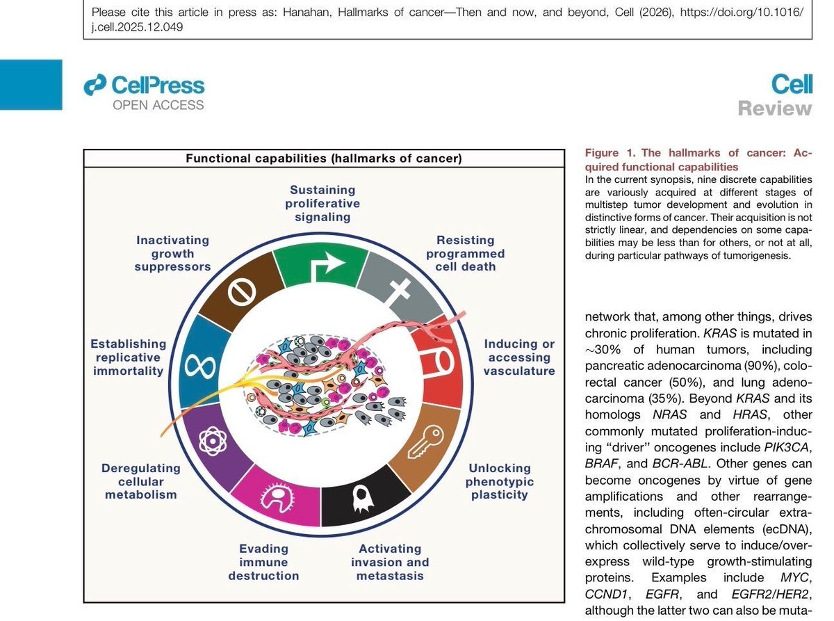 zucchiatti_'s tweet image. Hallmarks of cancer—Then and now, and beyond
cell.com/cell/fulltext/…
#pathology