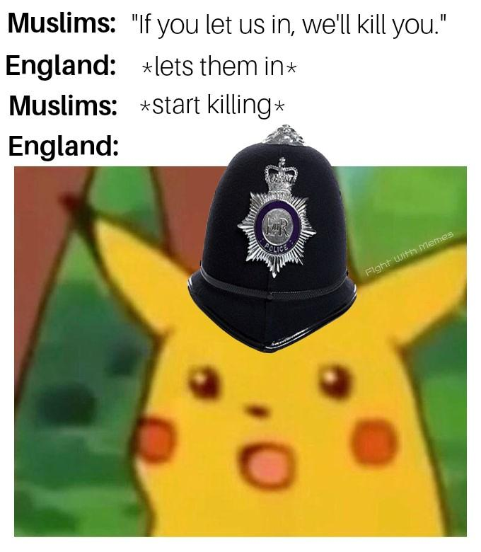 Fight With Memes tweet media