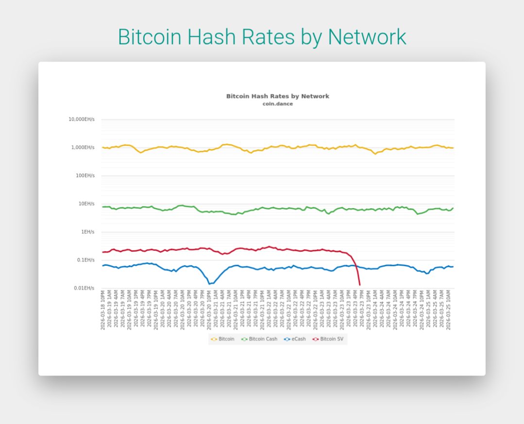 Daniel Street tweet media