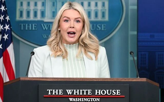 Paul Rudnick tweet media