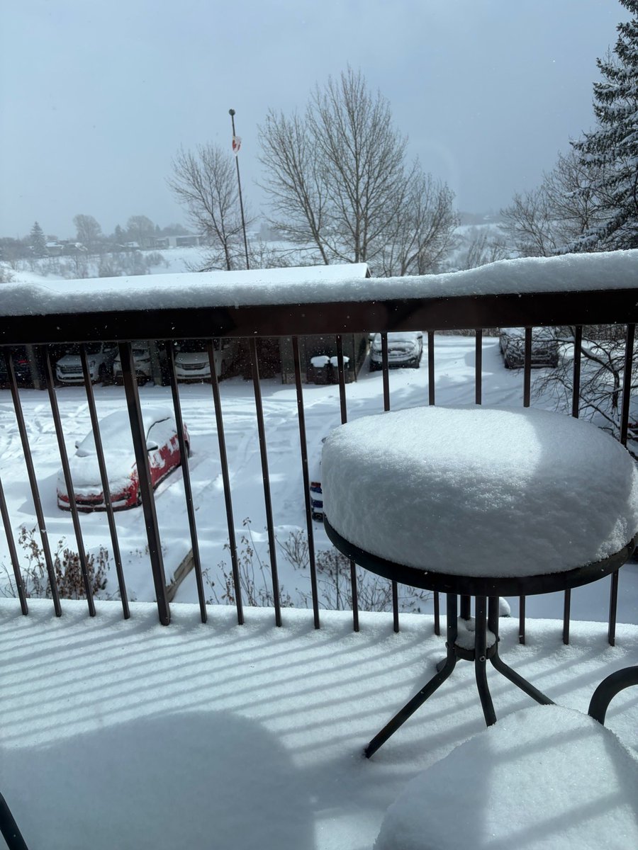 Bearded klingon 🐻 tweet media