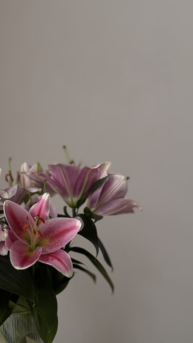 𓍼 ོ tweet media