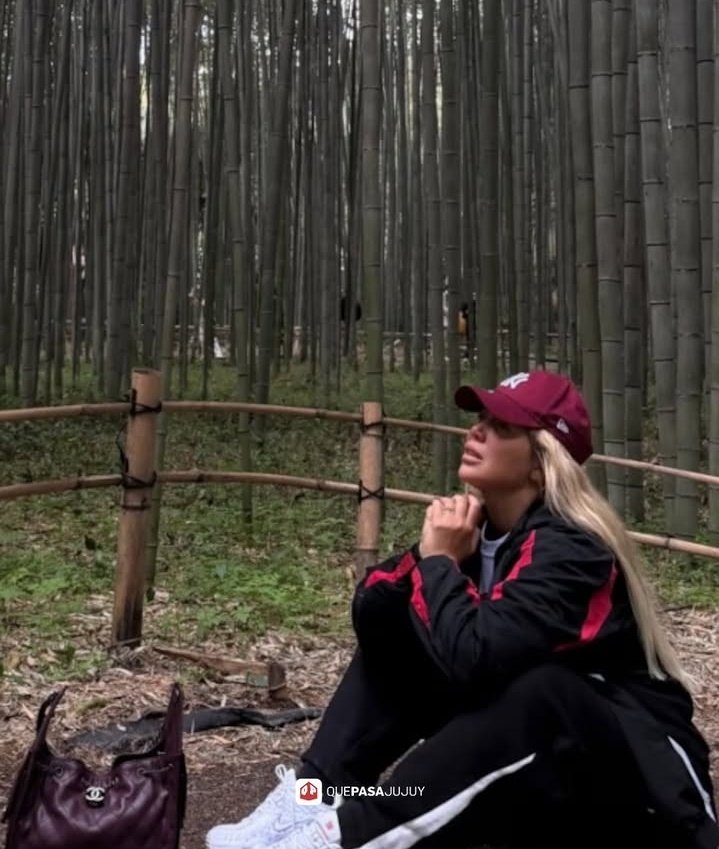 chinafan♡ tweet media