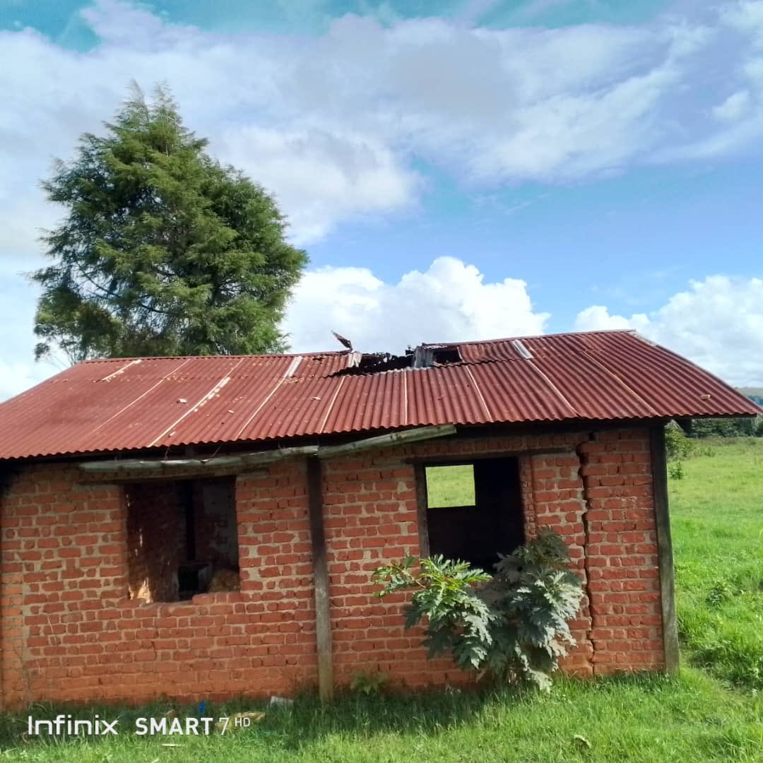 kivu utile tweet media