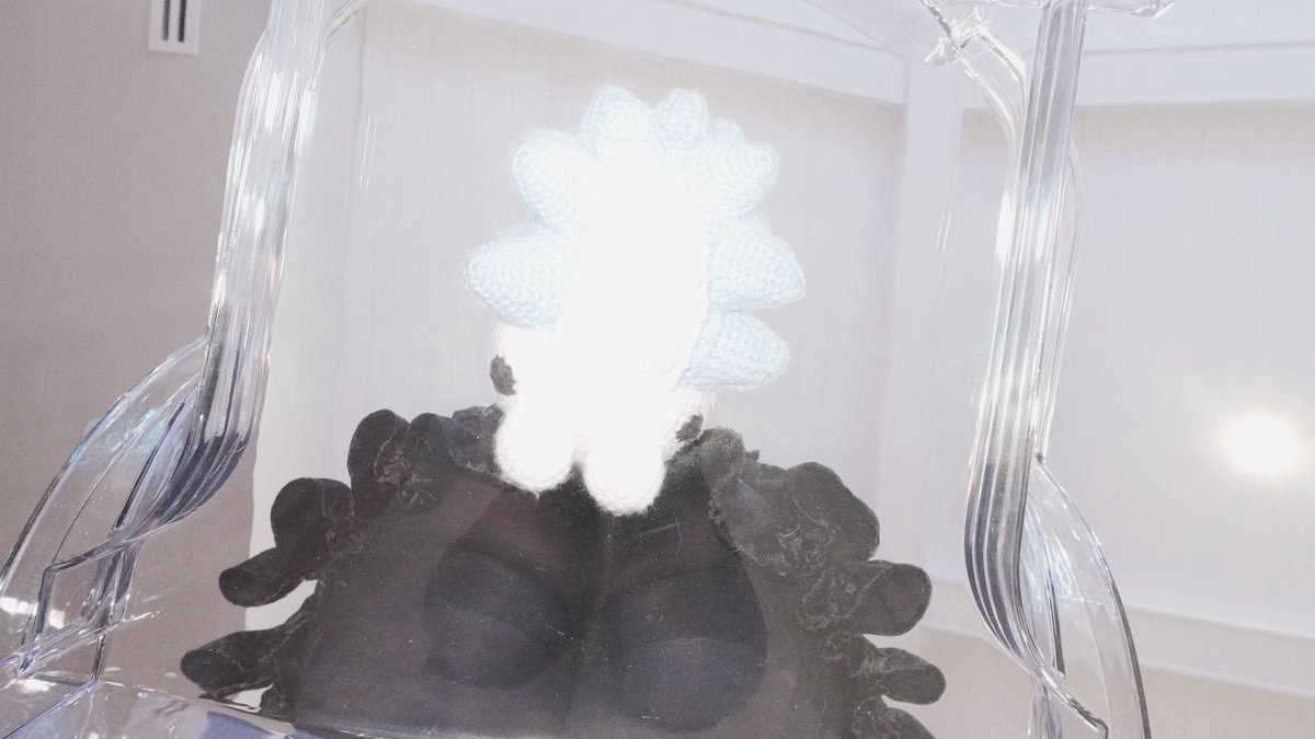 N Y Λ N N I E ニャニ tweet media