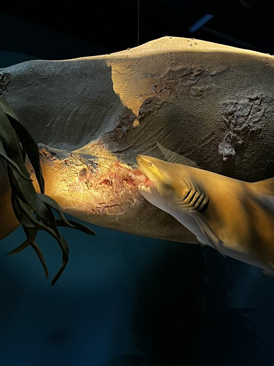 OnlyInfamous tweet media