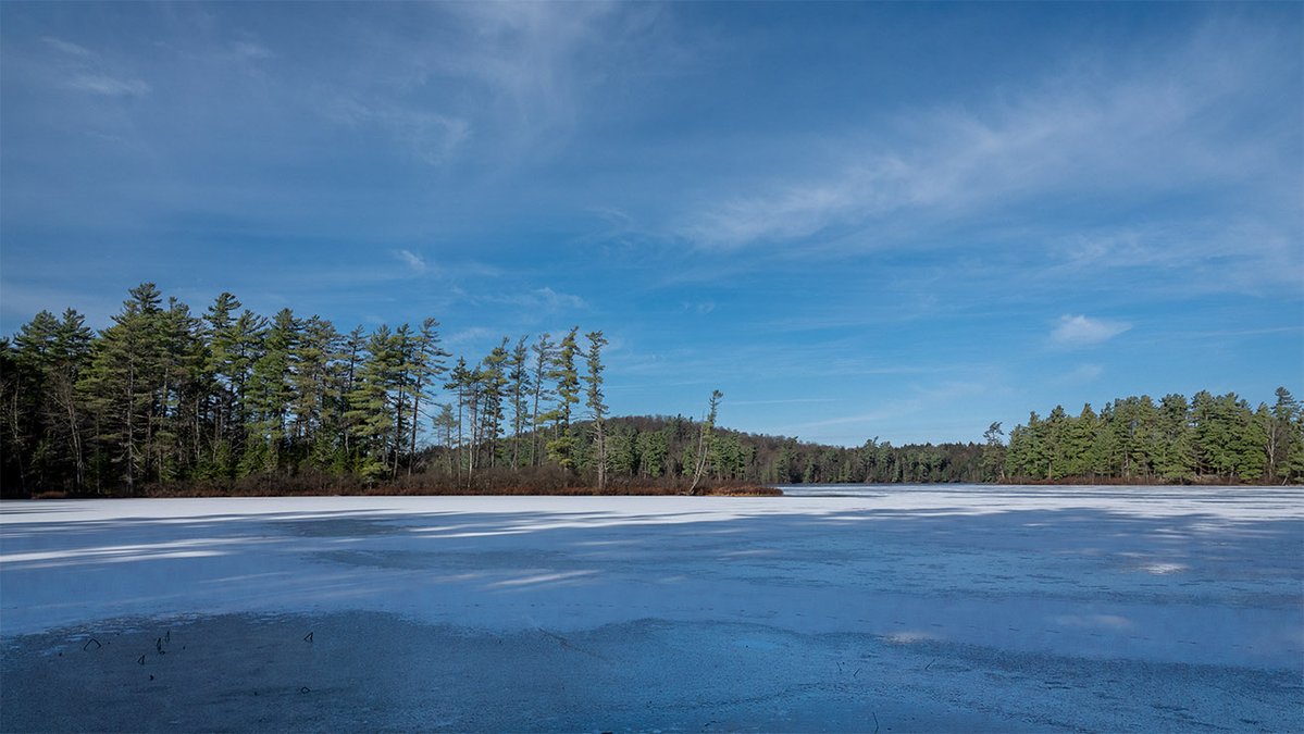 Wild Adirondacks tweet media