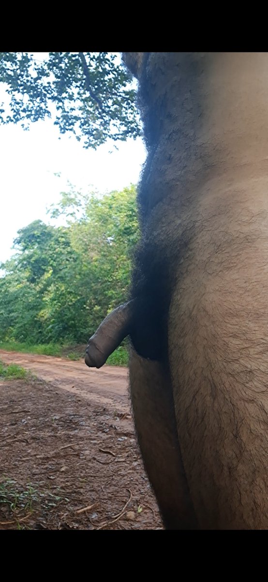 Pelado numa estrada deserta.