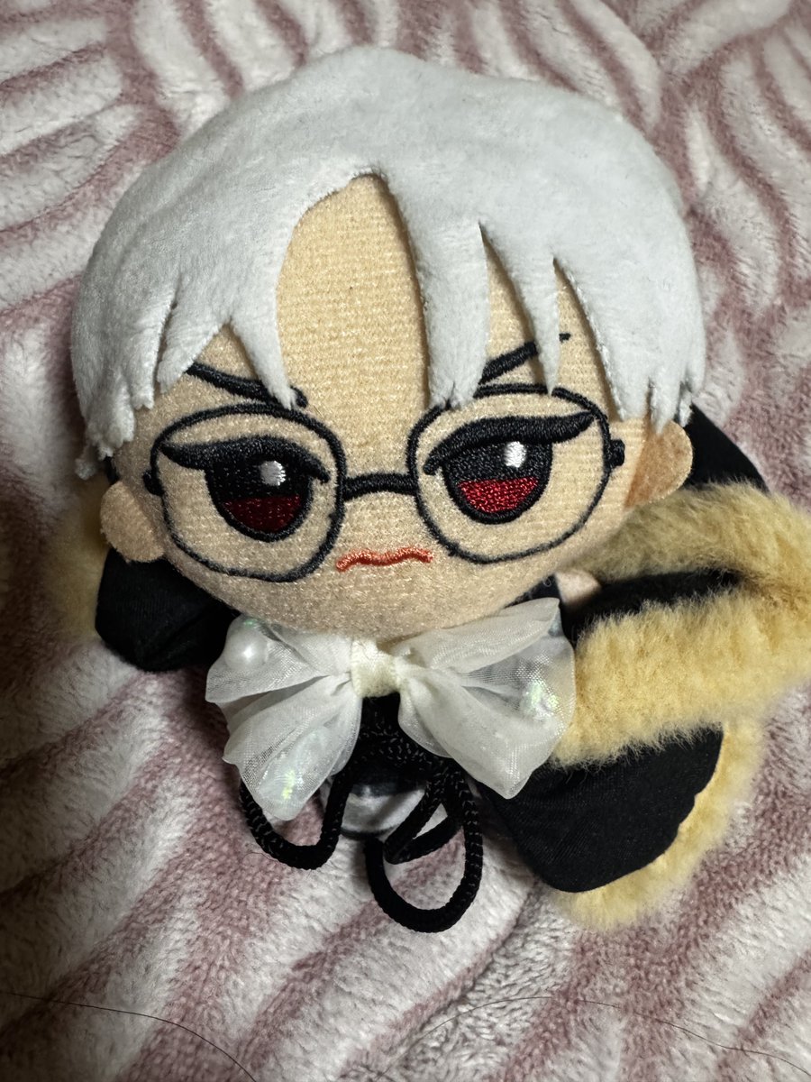 おはようございます！