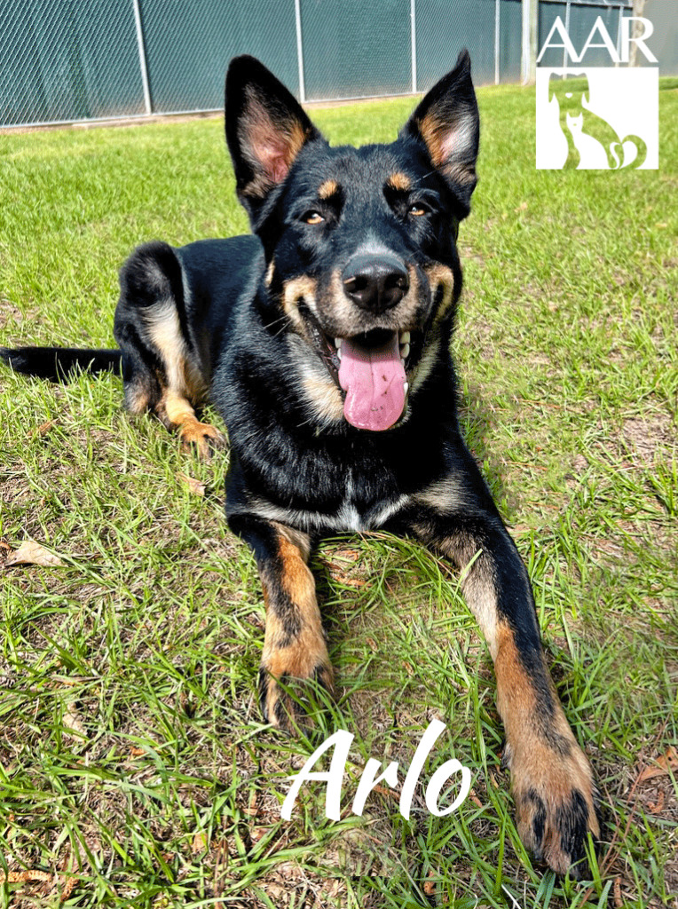 Fred Haas Country tweet media