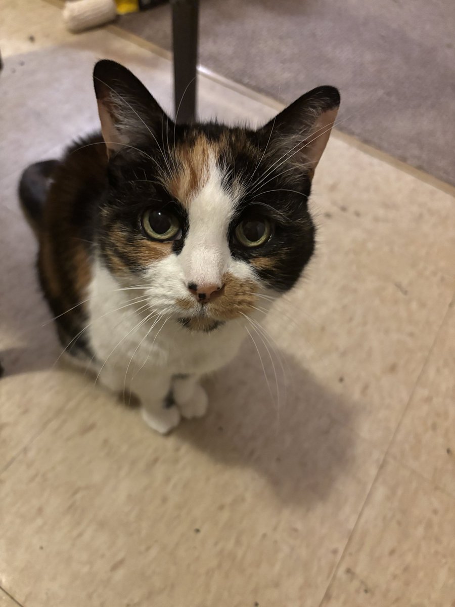 Kriz 🖤🩶🤍 tweet media