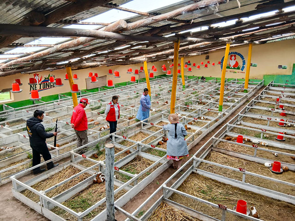 Midis Foncodes tweet media