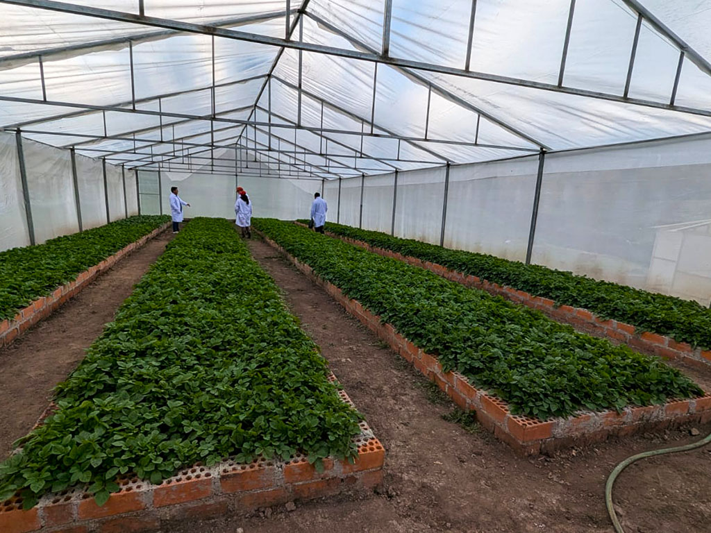 Midis Foncodes tweet media