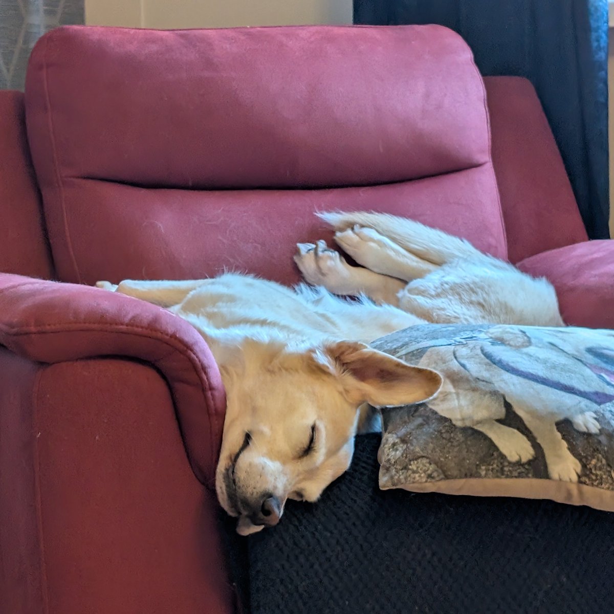 ValleyTom tweet media