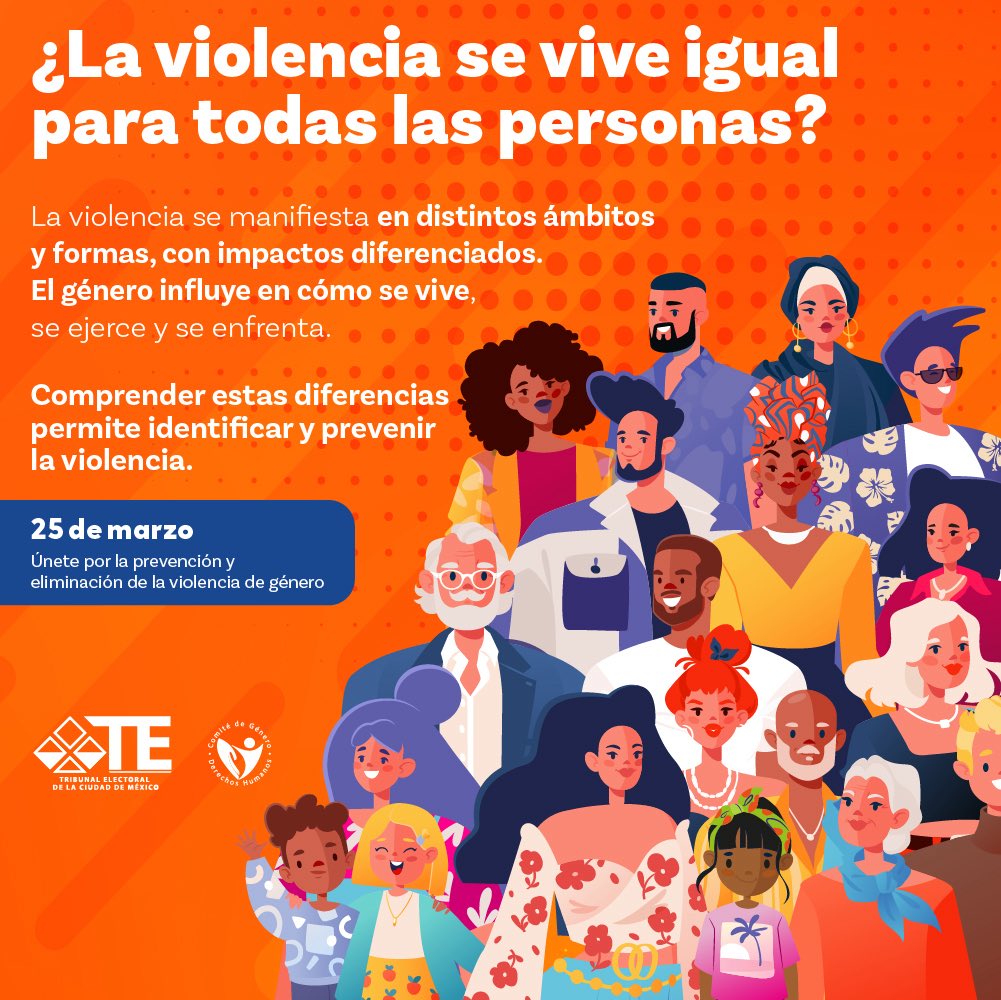 Tribunal Electoral de la Ciudad México tweet media