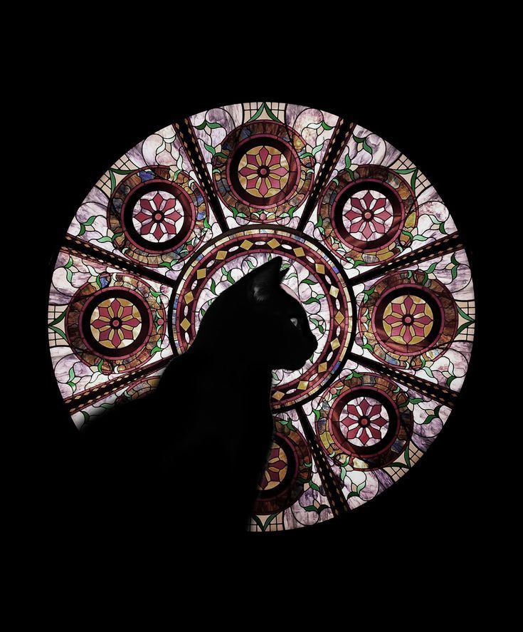 𝒆𝒍𝒚𝒓𝒂 tweet media